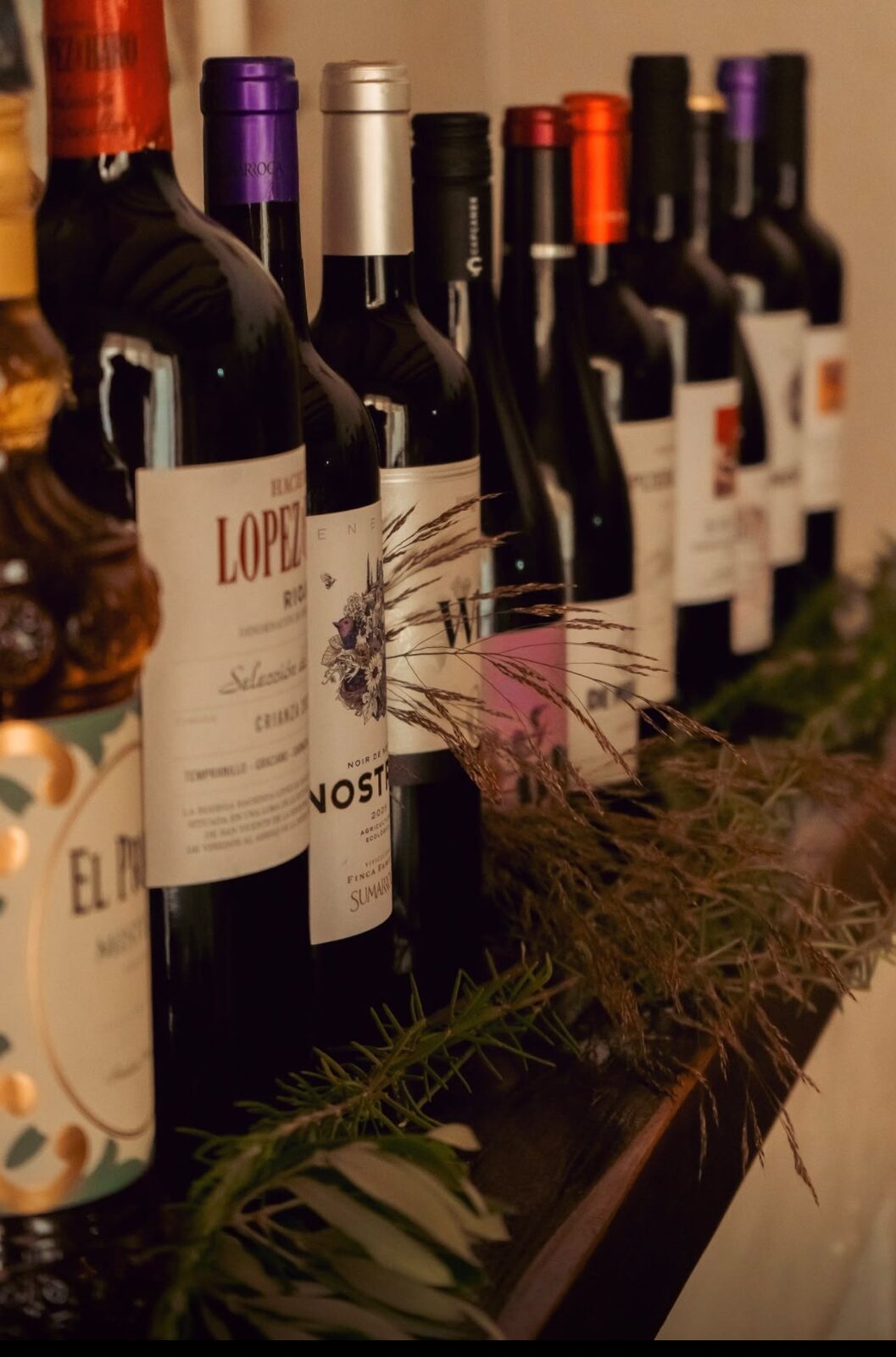 Vinos locales del Penedès