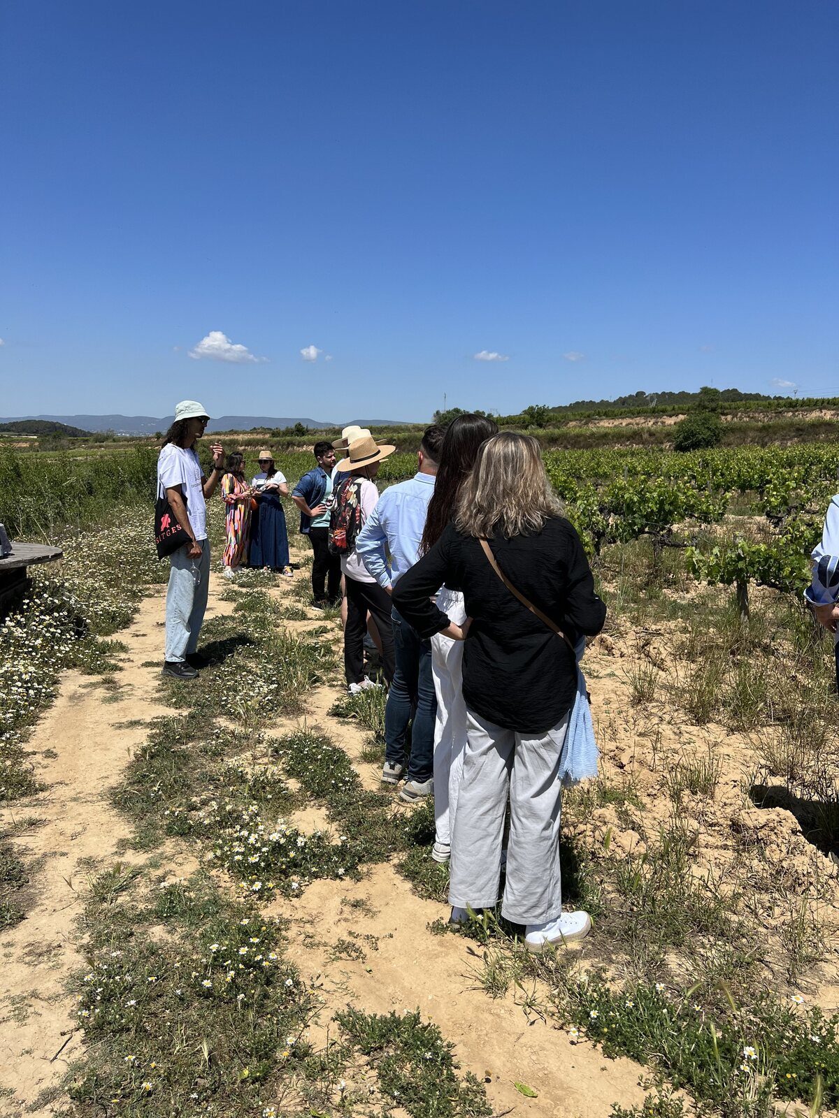 Paseo en grupo por los viñedos
