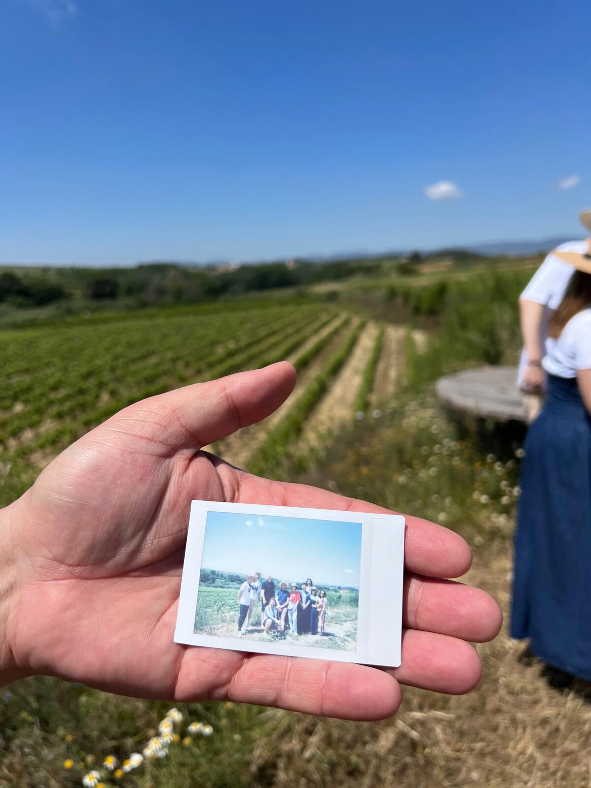 Foto instantánea del grupo en los viñedos